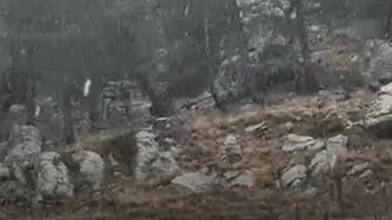 Mevsimin ilk karı düştü!