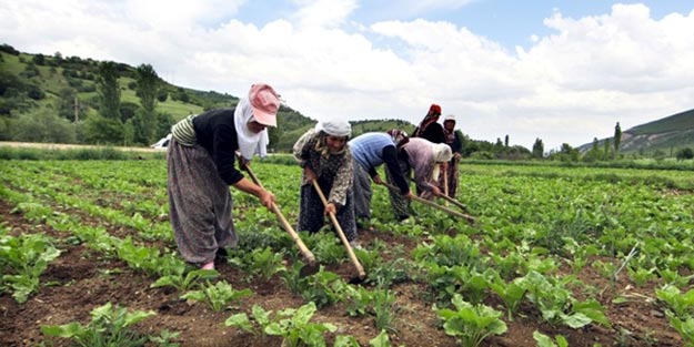 Mevsimlik işçi kadro ne zaman? Geçici işçi son dakika haberleri
