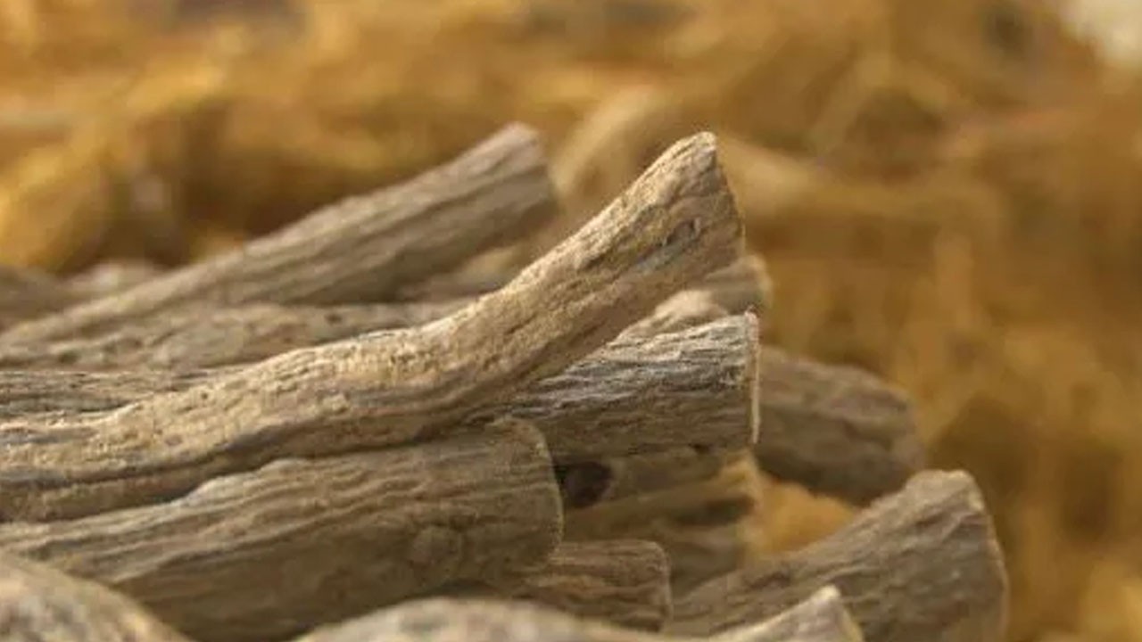 Meyan kökünü maden suyu ile birlikte tüketirseniz! Öyle bir etkisi var ki!