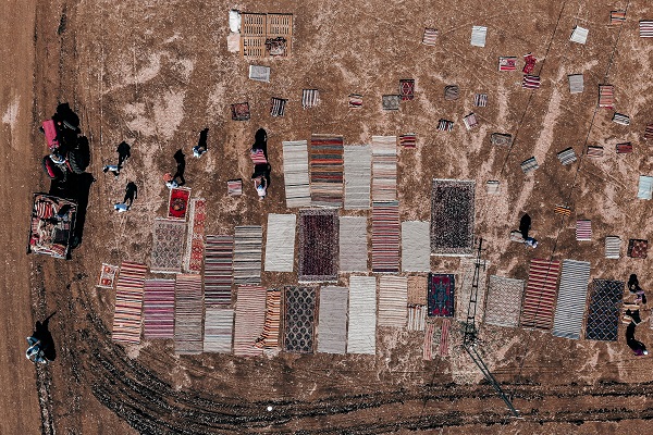 Meyve sebze değil! Milyonluk hasat başladı