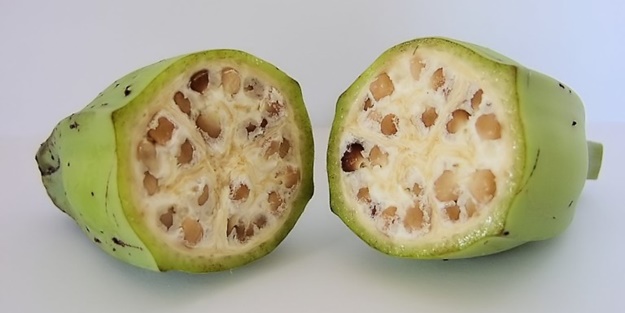 Meyve-sebzeler önceden böyle görünüyorlardı