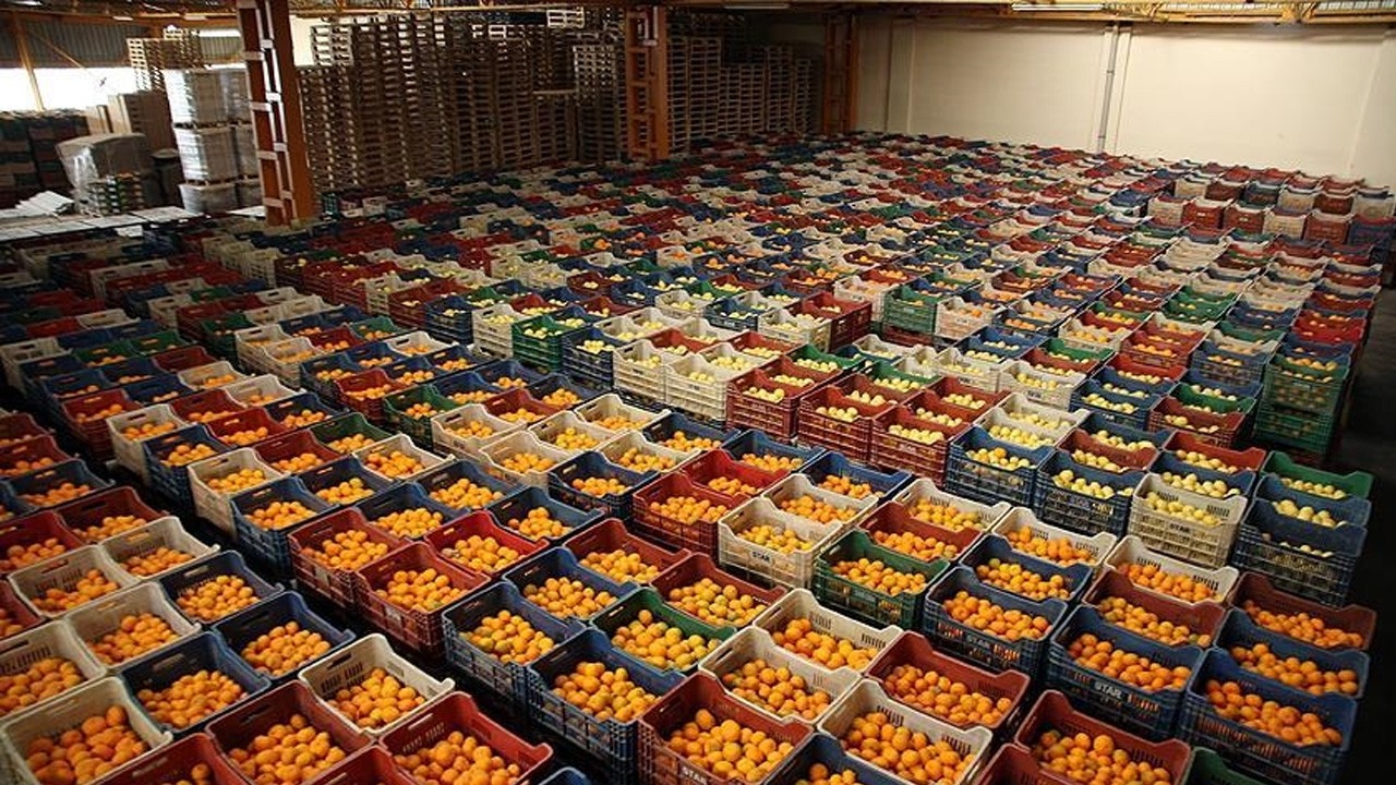 Meyve ve sebze ihracatı sevindirdi