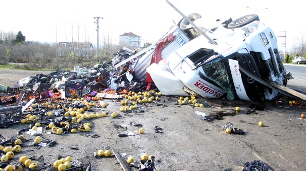 Meyve ve sebze yüklü TIR, su kanalına devrildi