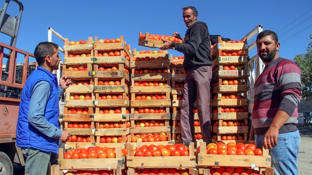 Meyve ve sebzeler yurt dışı pazarında
