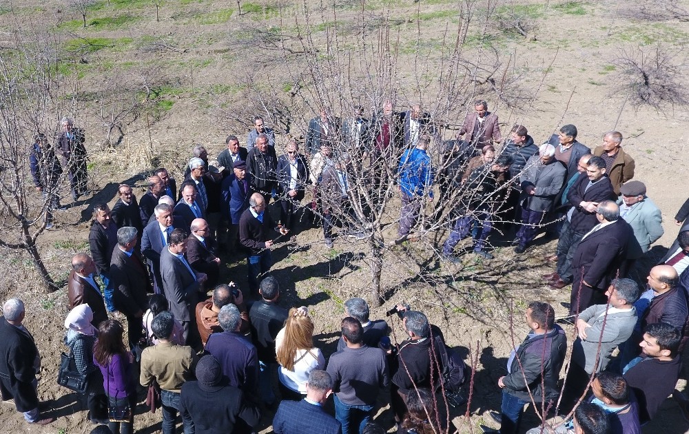 Meyve yetiştiriciliği ve budama eğitimi 