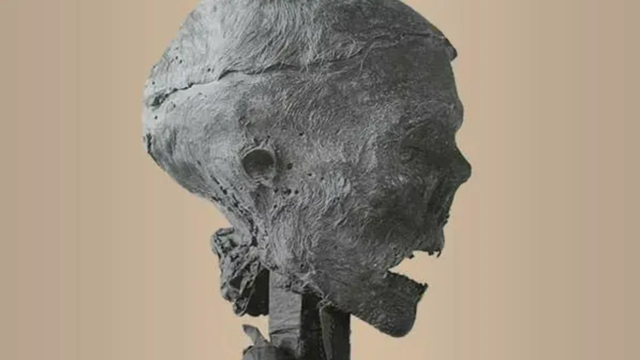 Mezardan çıkarılan cesedi idam etmişler!