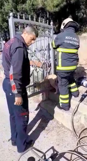 Mezarlık kapısına sıkışan köpeği itfaiye kurtardı 