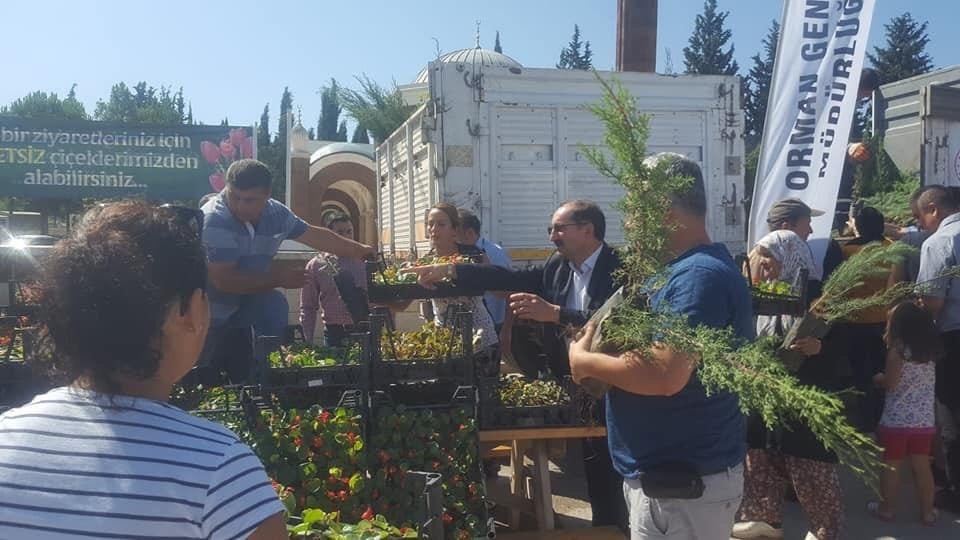Mezarlık ziyaretçilerine ücretsiz fidan ve çiçek 