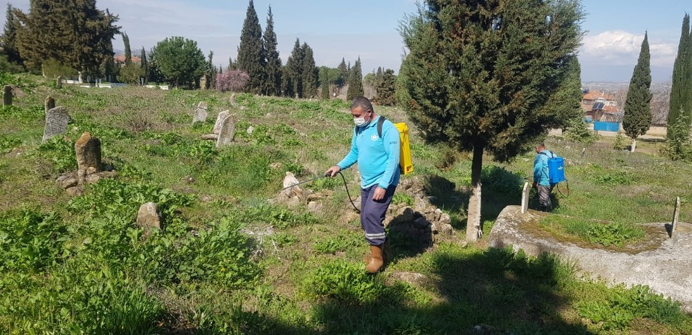 Mezarlıklardaki yabancı otlar ilaçlanıyor 