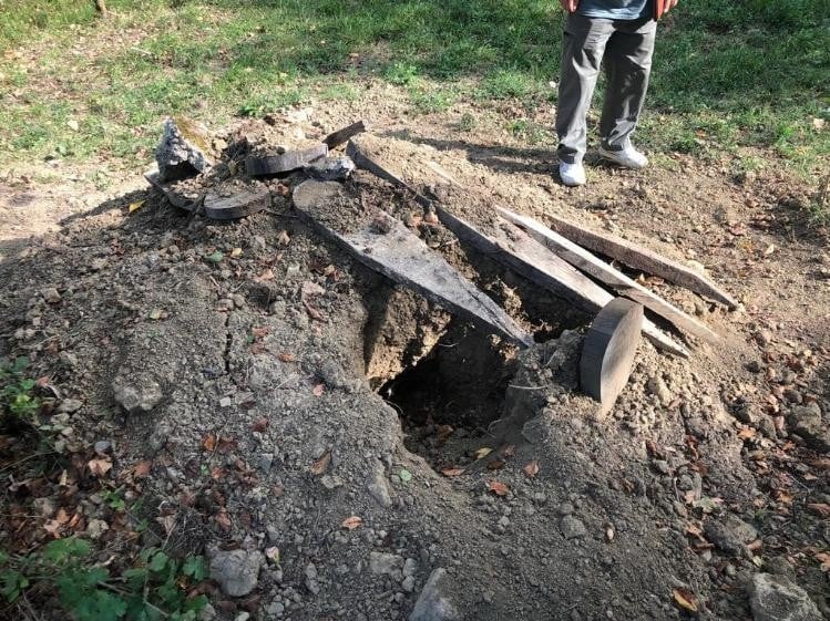 Mezarlıktaki fotokapana çakal ve yavruları takıldı 