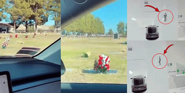 Mezarlıktan gelen görüntüler şoke etti! Görenler gözlerine inanamadı