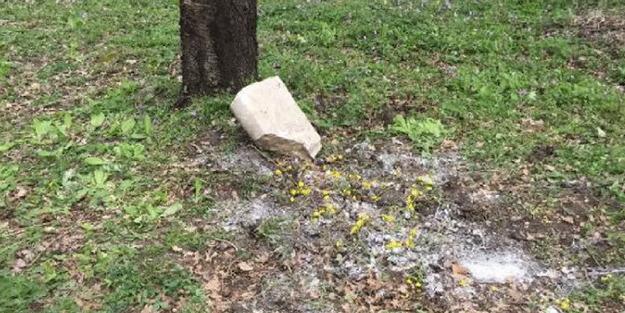Mezarlıktan şaşkına çeviren olay! Başında dua ettikleri mezardan bakın ne çıktı