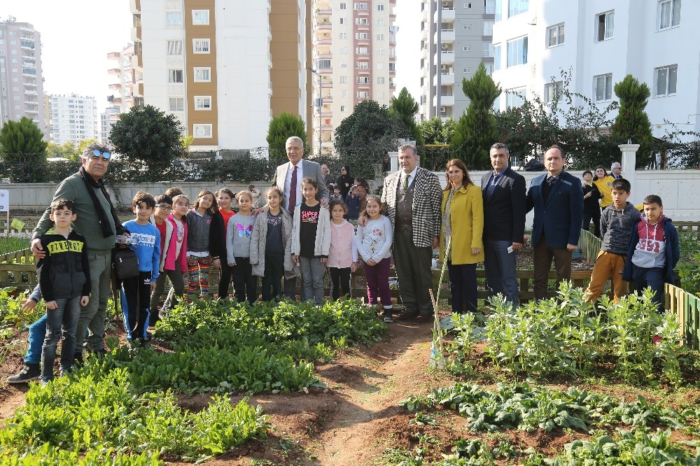 Mezitli Belediyesi çocuk hobi bahçesinde hasat sevinci 