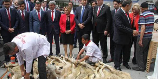MHP 10 aday için 10 kurban kesti