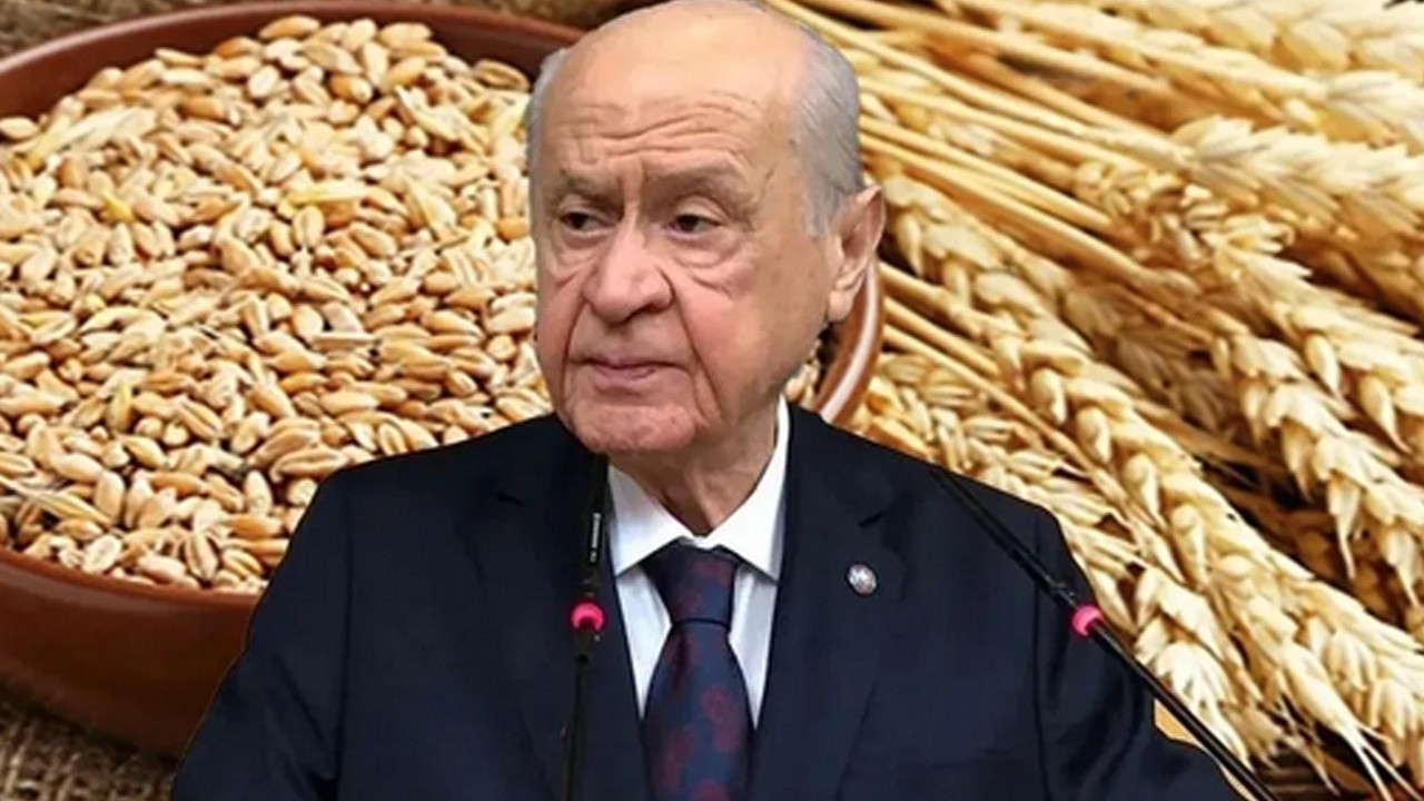 MHP'den çiftçiye askıda gülek buğday desteği: Gülek ne demek?