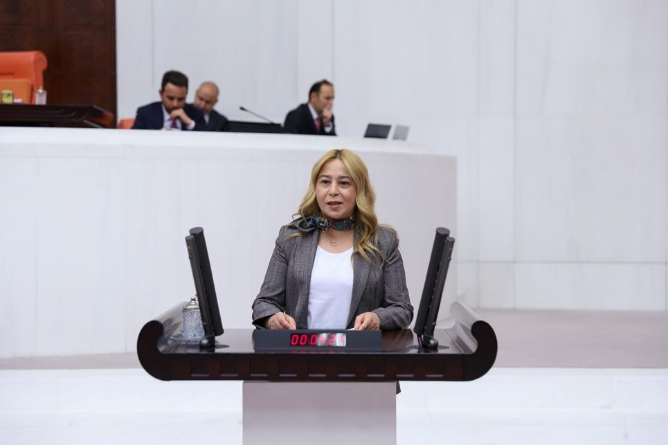 MHP’li Esin Kara’dan Bakan Pakdemirli’ye soru önergesi 