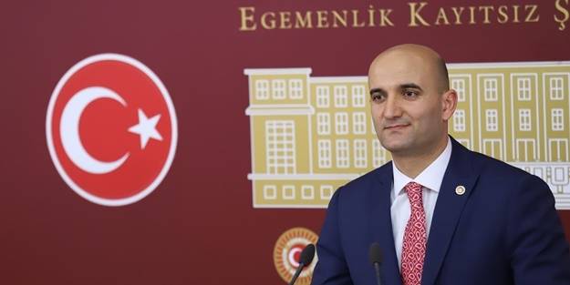 MHP'li Olcay Kılavuz'dan TBMM'ye 'acil eylem planı' çağrısı: Başıboş sokak köpekleri tehlike saçıyor