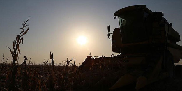 Microsoft, bir çiftçiye milyonlarca dolar ödeme yaptı