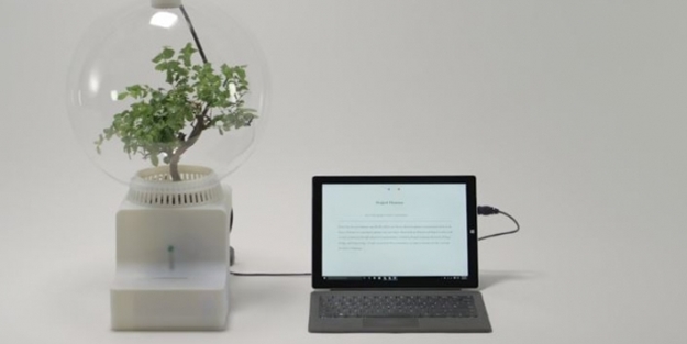 Microsoft bitkileri konuşturdu