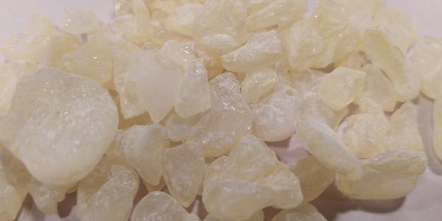 Mide, astım, bronşit, enfeksiyon hastalıkları... Faydası saymakla bitmeyen sakızın fiyatı dudak uçuklatıyor!