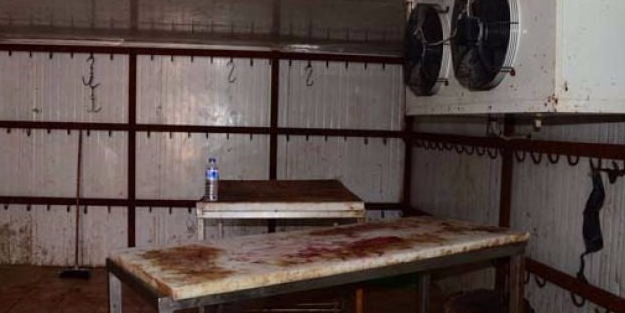 Mide bulandıran görüntü! 3,5 ton ele geçirildi