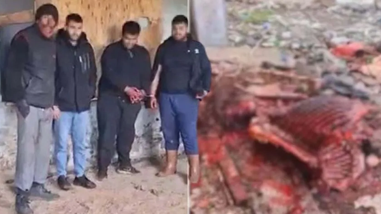 Mide bulandıran görüntü... At keserken suçüstü yakalandılar!