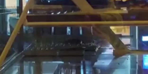 Mide bulandıran görüntü! Fare simitçi tezgahında gezindi