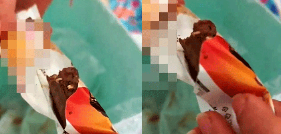 Mide bulandıran görüntü! İçinden bakın ne çıktı