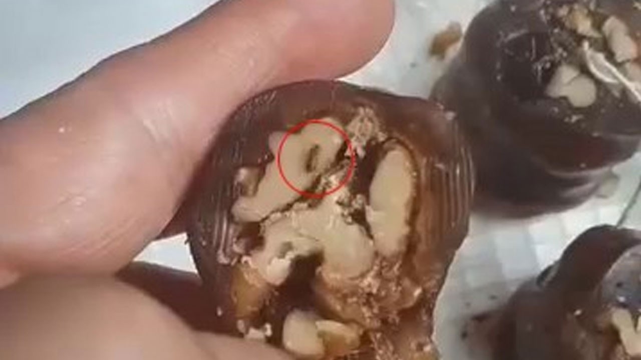 Mide bulandıran görüntü! Orciğin içinden böcek çıktı
