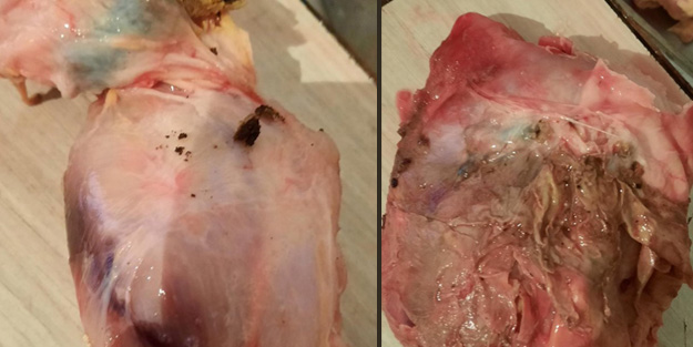 Mide bulandıran görüntü! Tavuğun içindekini gören vatandaş şoke oldu