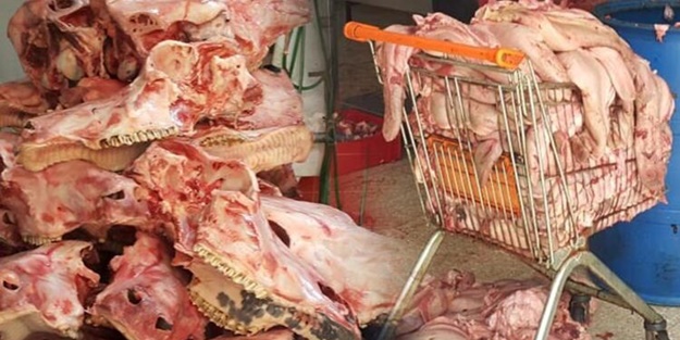 Mide bulandıran manzara! 'Koronavirüse iyi geliyor' diye vatandaşa yedireceklerdi