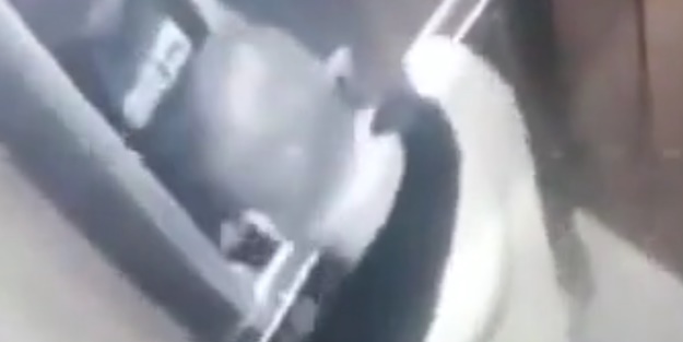 Mide bulandıran olay! Asansörde damacanaya bakın ne yaptı