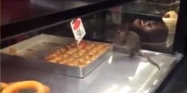 Mide bulandıran olay! Skandal görüntü bu kez tatlıcıda kaydedildi