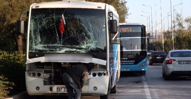 Panik kameralara böyle yansıdı