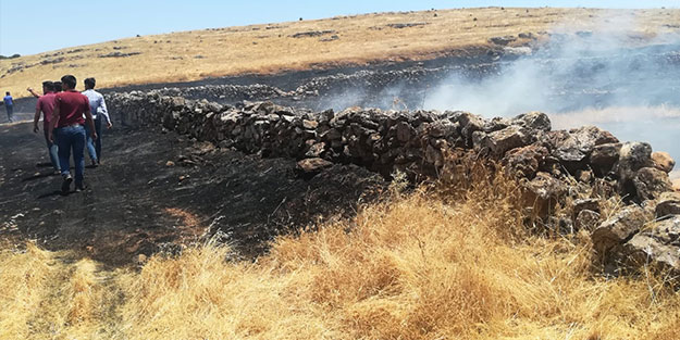 Midyat'ta 6 bin dönümlük anız yangını!