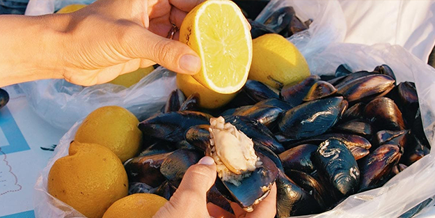 Midye için korkutan uyarı: 'Kanser yapabilir'