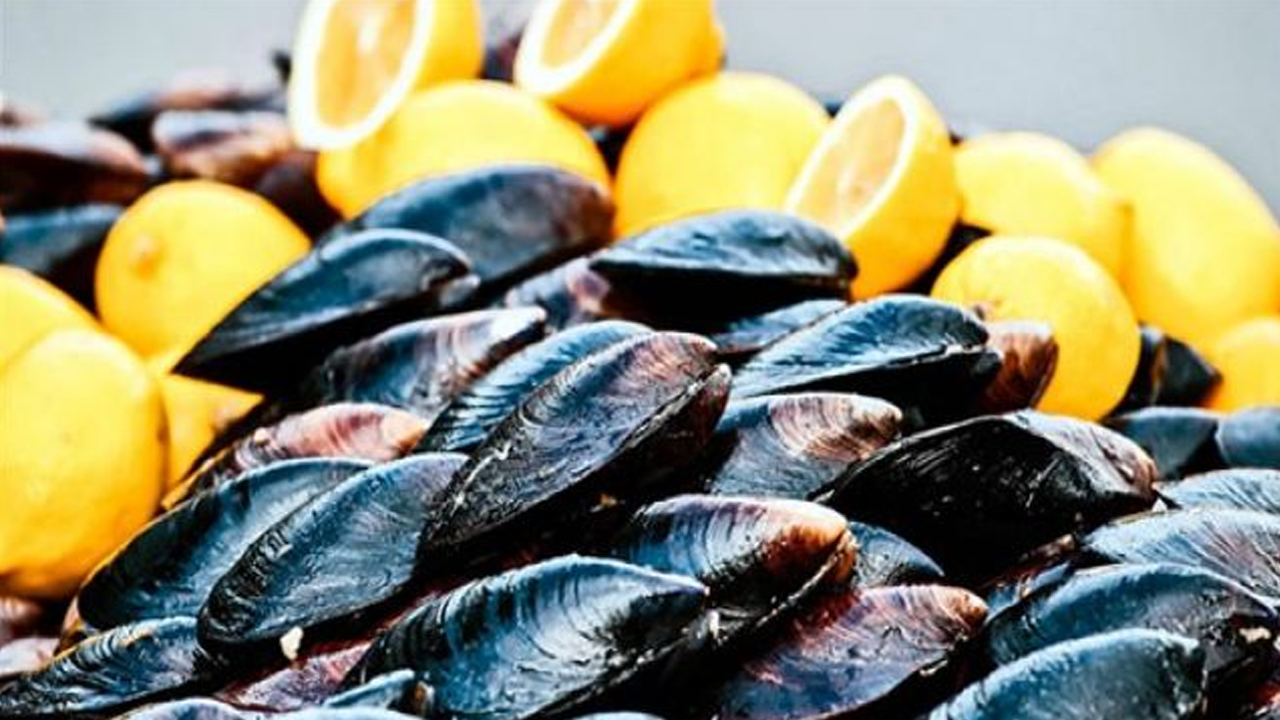 Midye Severler Dikkat! Tehlike saçıyor!