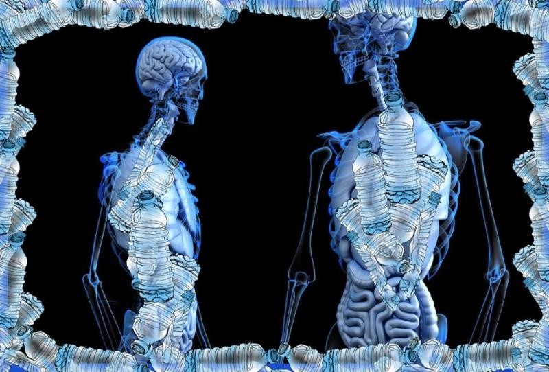 Mikroplastiklerin bağırsak duvarını aşarak organlara dağıldığı tespit edildi: Tüm organlarımız tehlikede