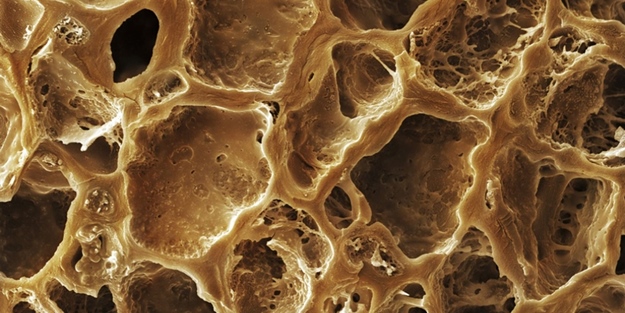 Mikroskoptaki görüntülerinden besinleri tanıyabilecek misiniz?