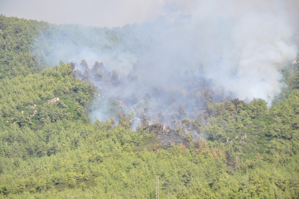 Milas Tuzabat’ta sabah kontrol altına alınan yangın tekrar tekrar başladı 