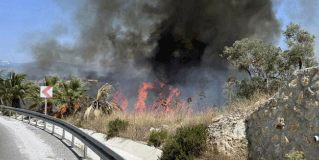Milas'ta büyük yangın! Ekipler olay yerinde