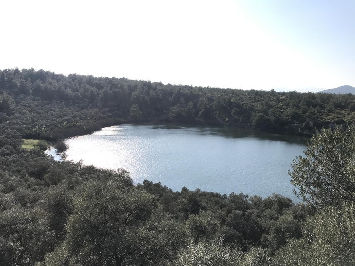 Milas’ta Orman parkı kiraya verilecek