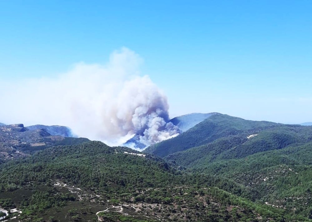 Milas’ta orman yangını 