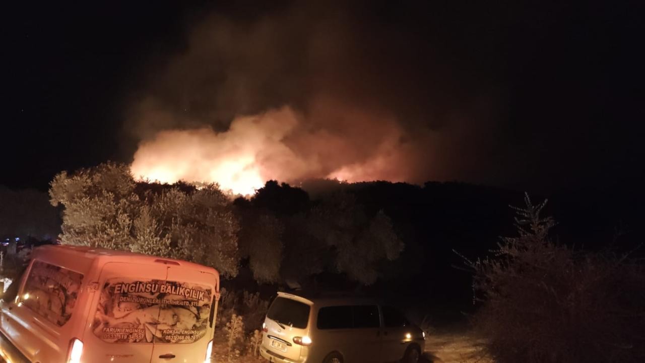 Milas'ta Orman Yangını: Ekipler Müdahale Ediyor