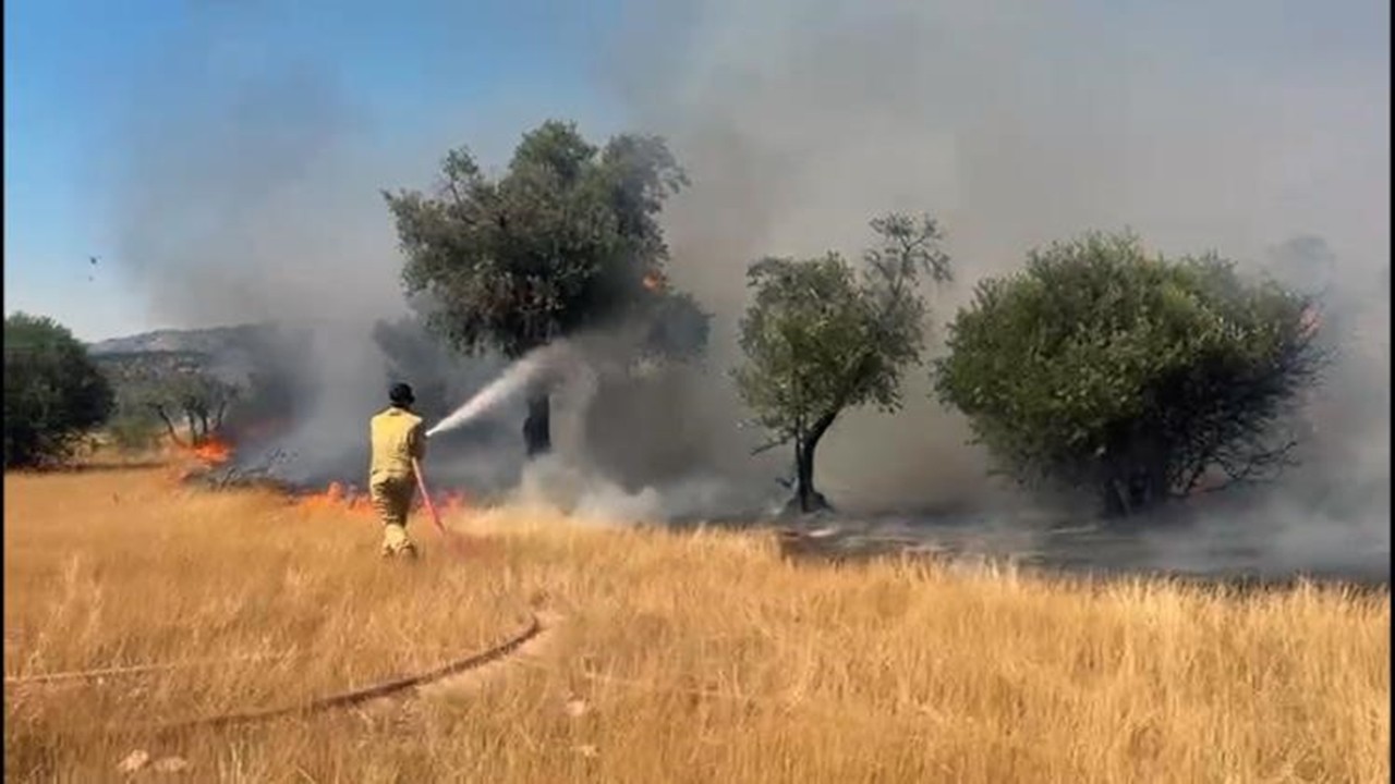 Milas’ta zirai alan yangını kontrol altına alındı