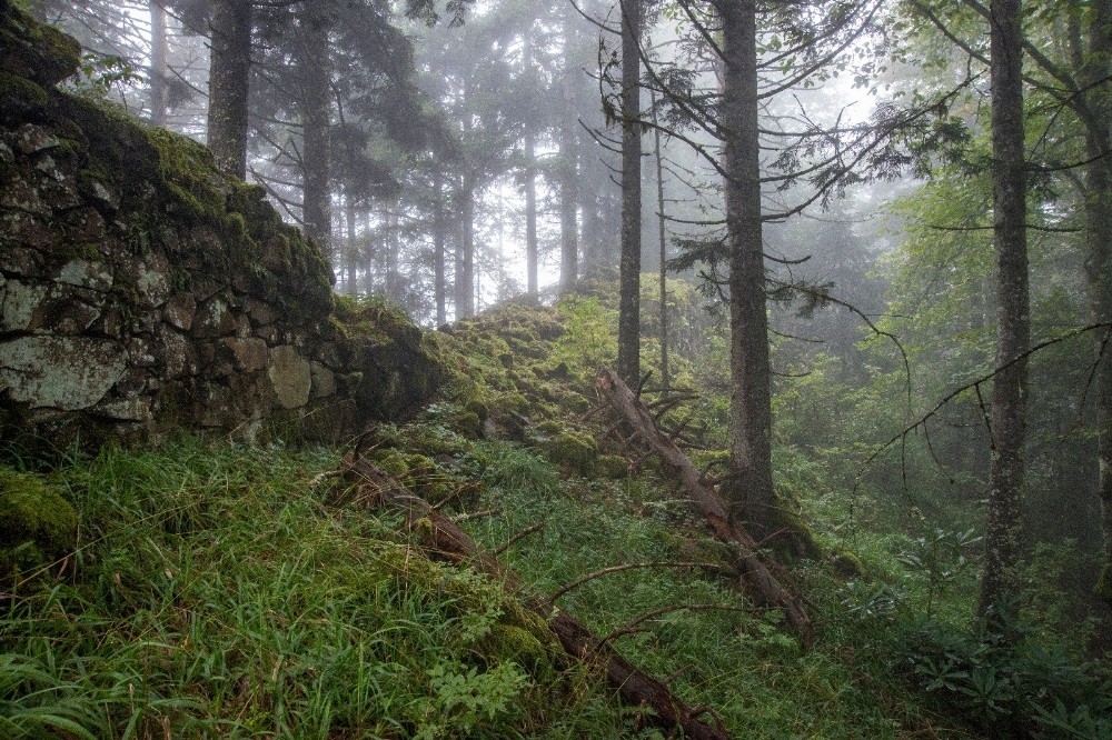 Milattan önceki Trabzon’u araştırıyorlar 