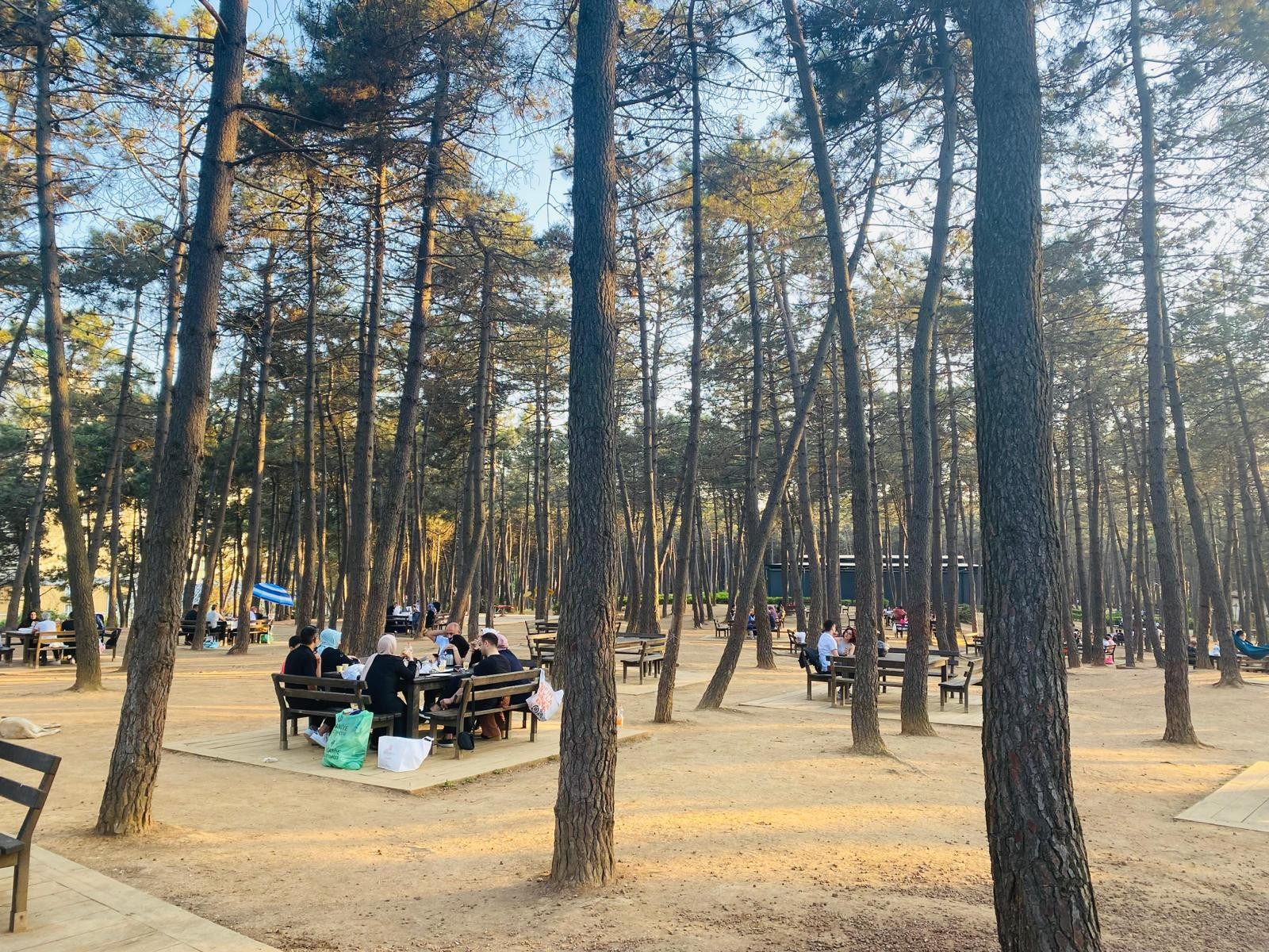 Millet Bahçesi'ne 100 bin rekor misafir