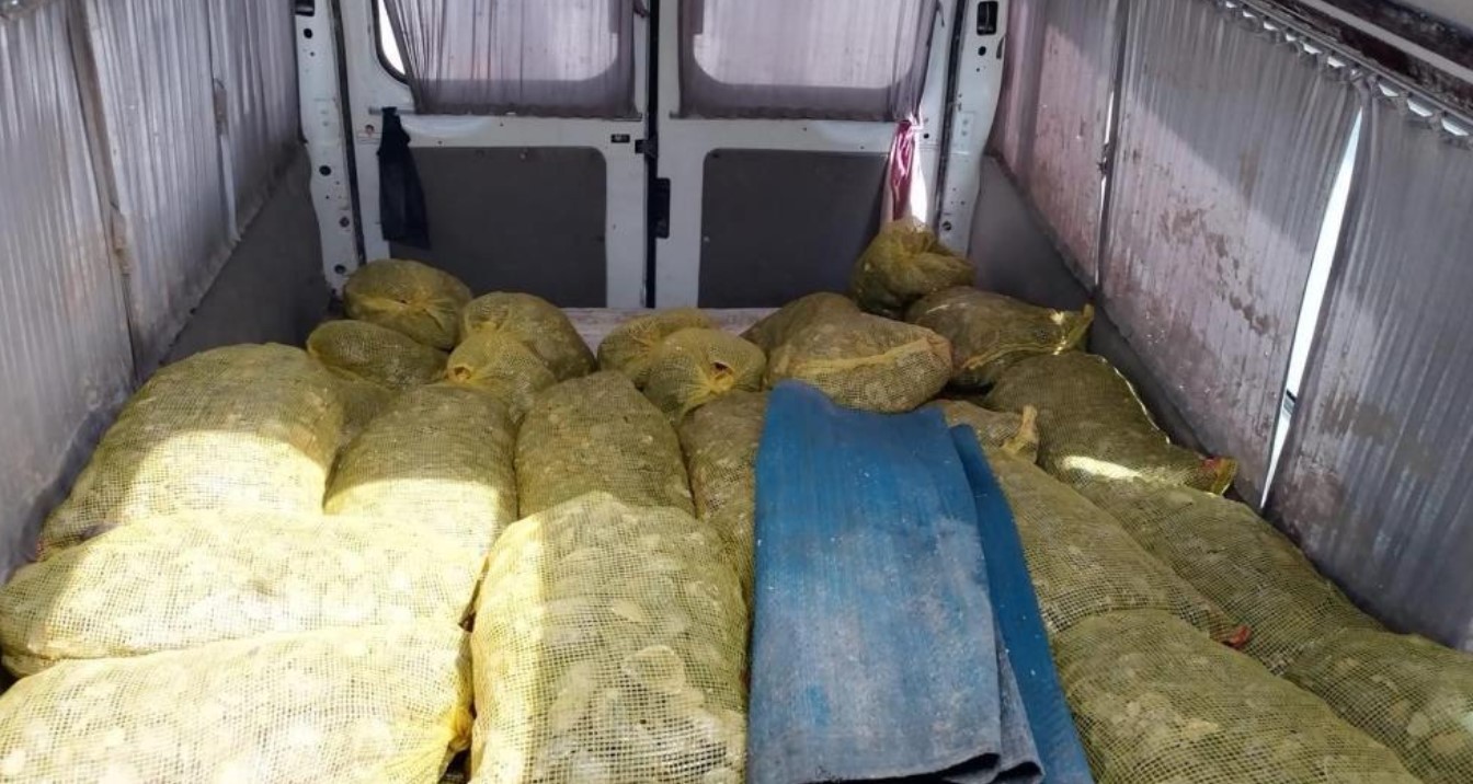 Millete yedireceklerdi! Deniz polisi izin vermedi