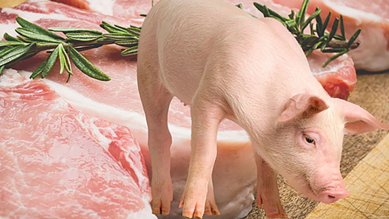 Millete yedireceklerdi! Onlarca kilo domuz eti ele geçirildi