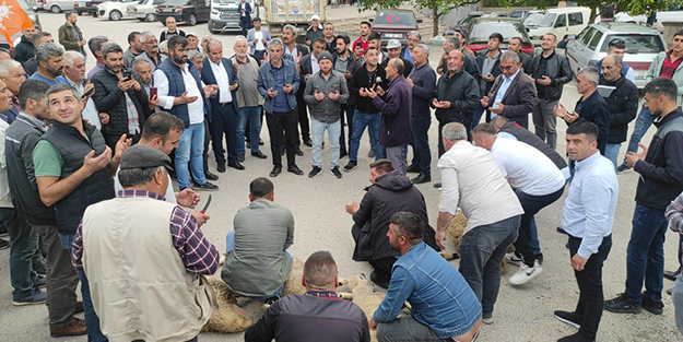 Milletin kutlaması sürüyor! Mahalle muhtarı Cumhurbaşkanı Erdoğan için 7 koyun kestirdi